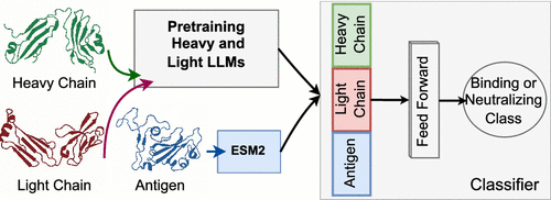 Struct Aware LLM